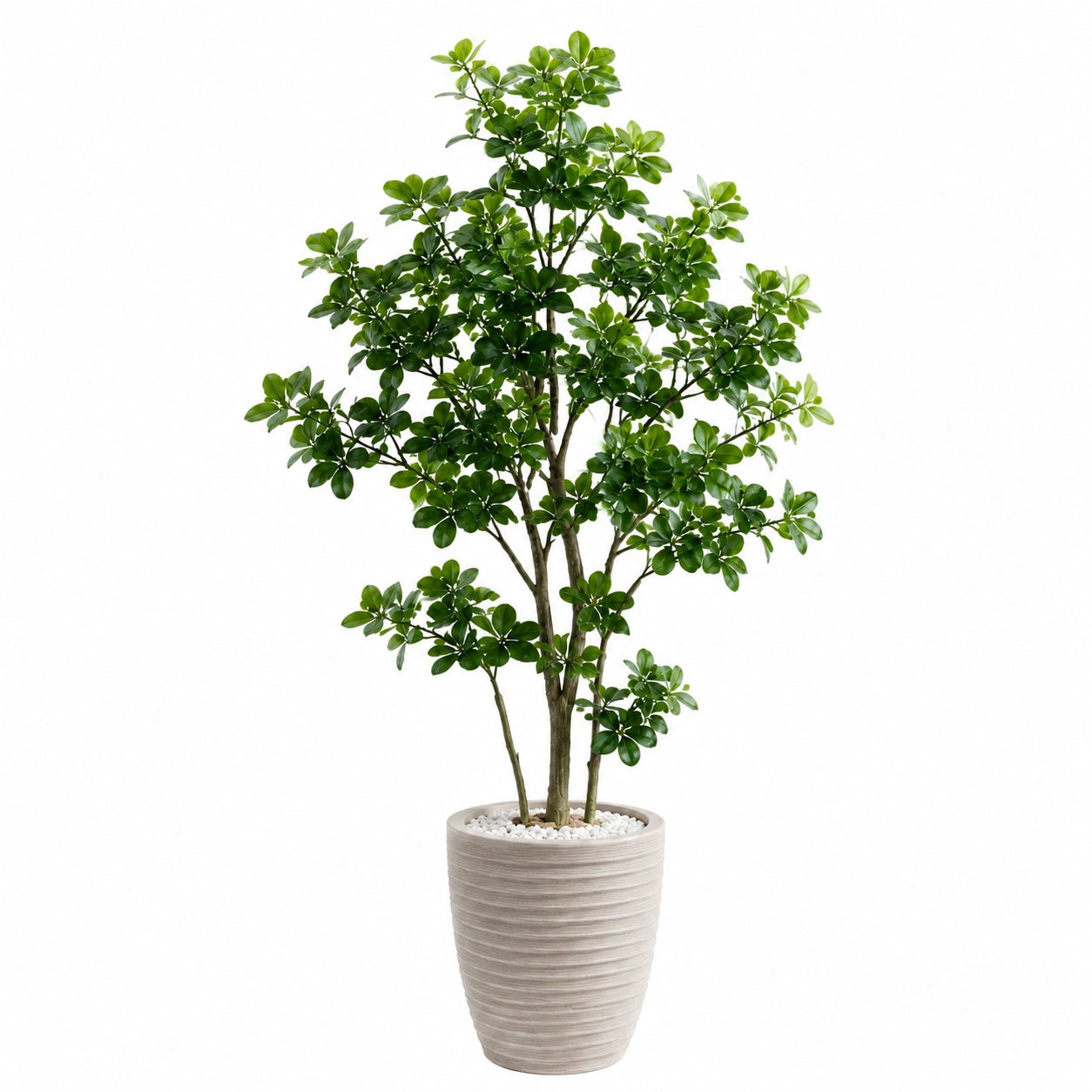 Kunstpflanze Schefflera 180 cm Kunststoff Grün mit Pflanzgefäß für Innenräume