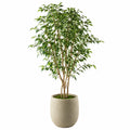 Künstlicher Ficusbaum 180 cm Kunststoff Grün für Innenräume mit Zementtopf