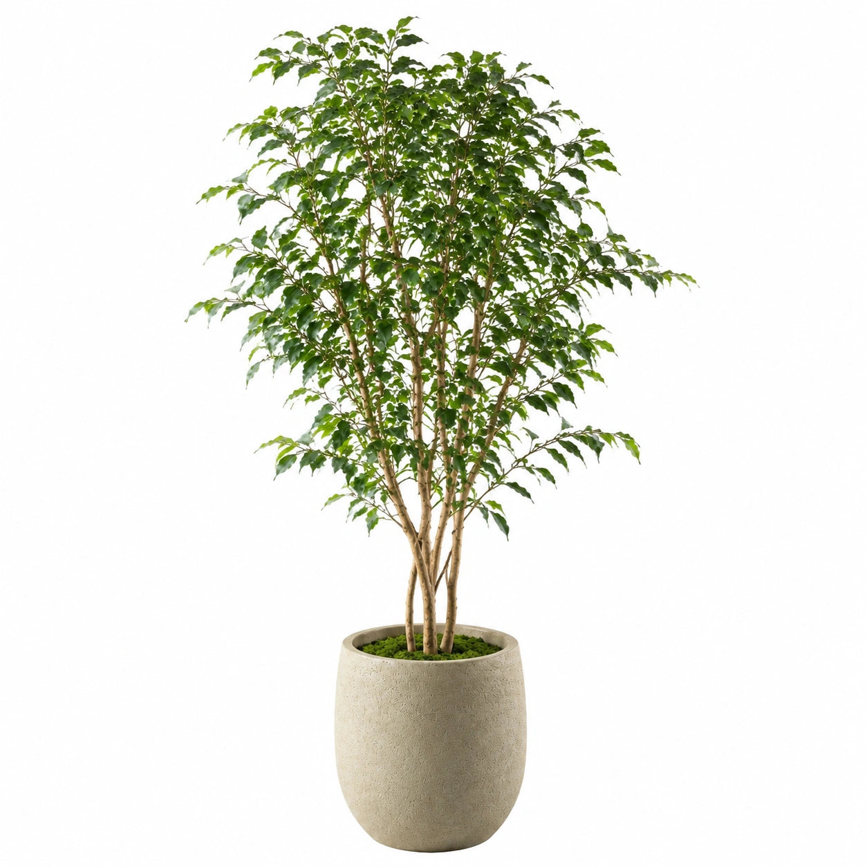 Künstlicher Ficusbaum 180 cm Kunststoff Grün für Innenräume mit Zementtopf