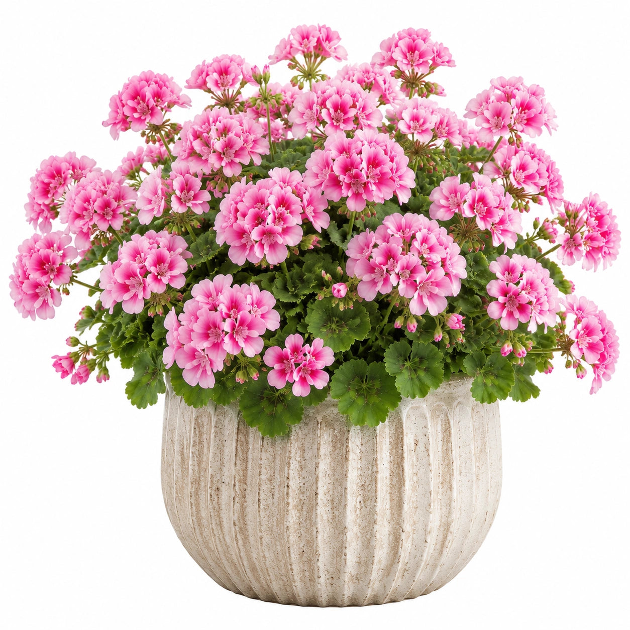 Künstliche Geranie im Topf 45 cm Rosa Kunststoff für Innenräume