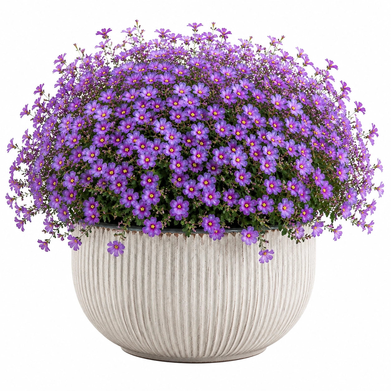 Kunstblumen-Topfpflanze 50 cm Violett aus Polyester mit Keramiktopf für Innenräume