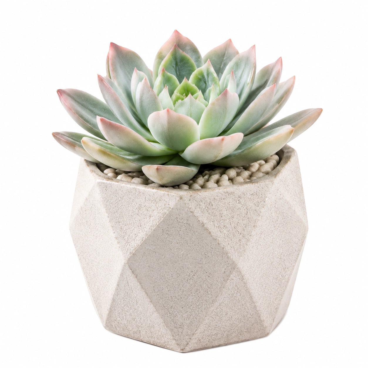 Kunstpflanze 18 cm aus Kunststoff Grün Rosa im Zementtopf für Innenräume geometrisch